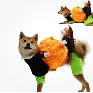Size S Funny Dog Carrying Pumpkin Halloween Costume